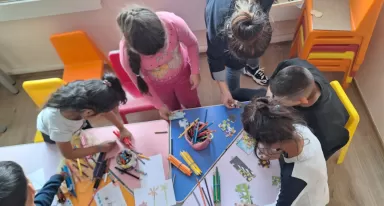 Доброволческа програма